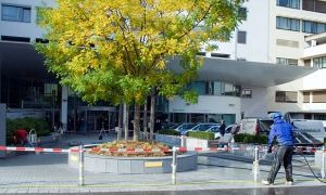 Krankenhaus der Barmherzigen Schwestern Linz